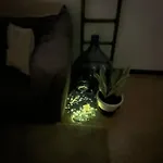 Pugliamore Apartmán *