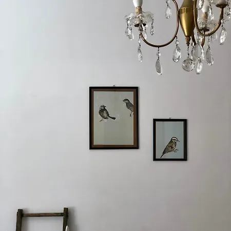 Pugliamore Apartment