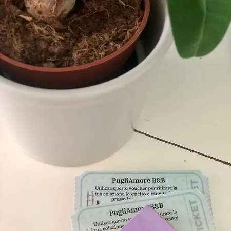 Pugliamore